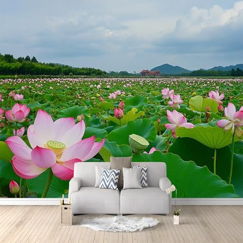 Papier Peint de Photo Paysage De Fleurs De Lotus 250x175 cm Papier Peint Panoramique Papier Peint intissé Murale Pour Chambre De Fille, Garçon, Chambre De Bébé Salon Chambre Décor