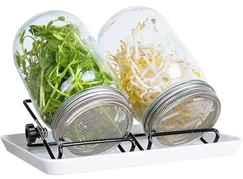 Double.S Sprossenglas 2 Stück, kresse anzuchtschalen 750ml keimglas für sprossen sprossen anzuchtset mit hochwertigem 304 Edelstahl-Gitterdeckel, Ständer, Keramikschale