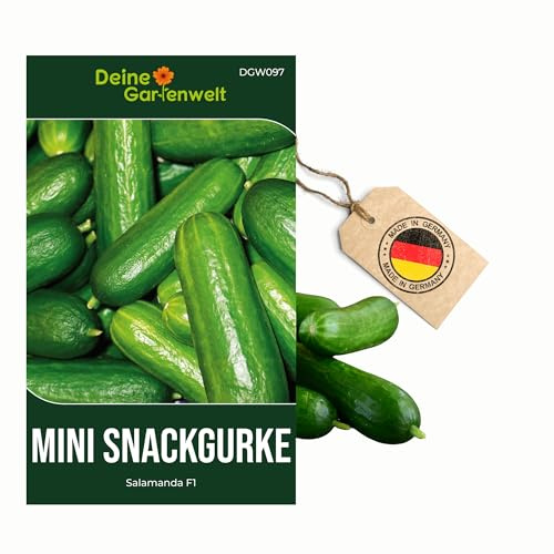 Mini Snackgurke Salamanda F1 Samen - Cucumis sativus - Gurkensamen - Gemüsesamen - Saatgut für 6-8 Pflanzen – 3er Pack
