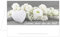 Edition Seidel Set 50 Premium Tischkarten Platzkarten Namenskarten Hochzeit - Geburtstag - Taufe - Kommunion - Konfirmation - Feier - Schön, dass du da bist