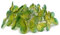 LED-Lichterkette Schmetterling