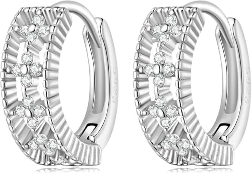 YXWYXWA Sterling Silver Jewelry,925 Sterling Silver Post Small Hoop Earrings Cubic Zirconia Hoop Earrings