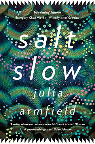 Salt Slow: From the author of Our Wives Under the Sea (English Edition)