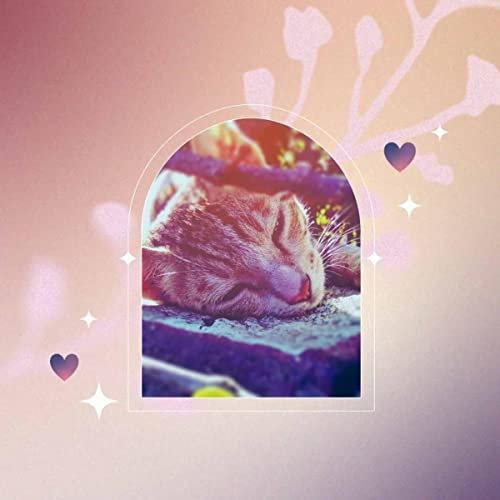 Clarinet Solo - Background for Quiet Cat