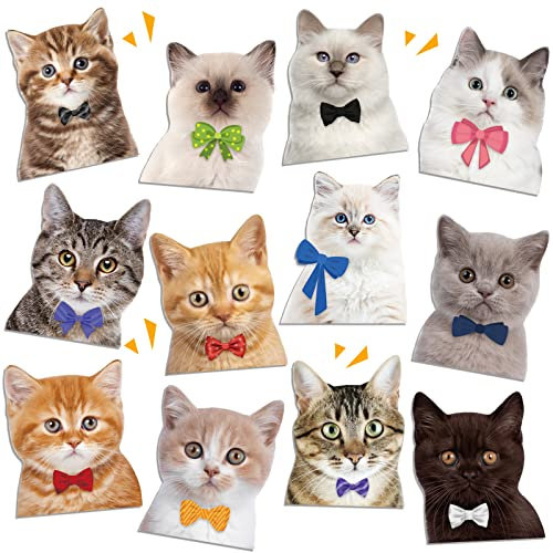 6 Pieces Decorative Magnets for Fridge Fun Cat Refrigerator Magnets Funny Cat Magnets Cute Fridge Magnet Reusable Magnetic Bumper Sticker for Locker Car Whiteboard Kitchen Garage Office Summer