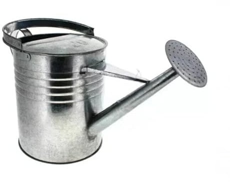 Lettuce Eat® 9L Steel Plant Watering Can Outdoor All Year Round Plant Waterer Made From Galvanised Steel Metal Watering Cans For The Garden With Handle And Detachable Rose Rust-resistant