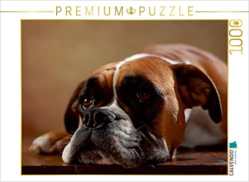 CALVENDO Puzzle Maja - Amerikanischer Boxer, 3 Jahre 1000 Teile Puzzle quer | 1000 Teile Lege-Größe 64 x 48 cm Foto-Puzzle für glückliche Stunden