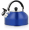 Kettle 3L Durable Color Kettle Stainless Steel Flat Bottom Dome Kettle Thickened Induction Cooker Kettle Kitchenware Kettle Stove Kettles Electric (Color : 3L, Size : OR)