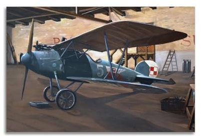 Poster im Vintage-Stil des Ersten Weltkriegs, Albatros, DVa, polnische Marine, Militärflugzeug, dekoratives Gemälde, Leinwand, Poster, 30 x 45 cm