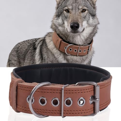 Gepolstertes Lederhalsband für große Hunde(Braun, L) | Gepolstertes Strapazierfähig aus Echtem Leder für Mittelgroße und Extra Große Hunderassen