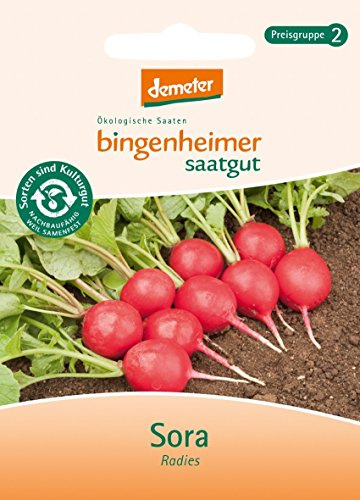 Bingenheimer Saatgut - Radieschen Radies Sora - Gemüse Saatgut / Samen