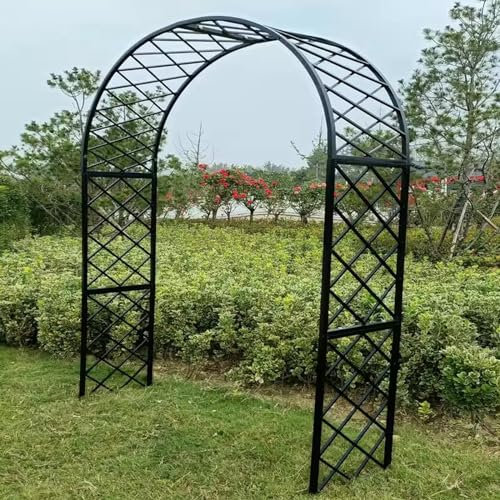 GAMAK Traubogen Hochzeit Gestell, Gartenbogen Stabil Garten-Pergola für Innen- und Außenbereich Rasen Garten Verschiedene Kletterpflanzen Wetterfest (Color : Black, Size : 180 * 40 * 250cm)
