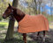 Brama-West Abschwitzdecke Pferd Pferdedecke - Basic Fleecedecke - Atmungsaktiv - Orange, Gr. 145