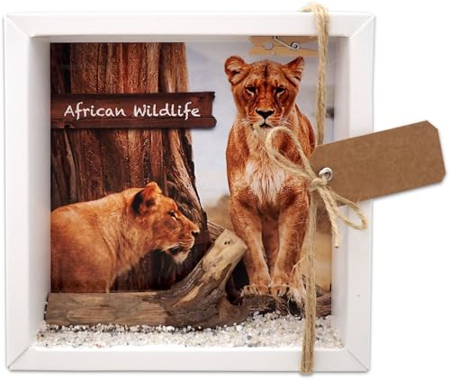 ZauberDeko Geldgeschenk Verpackung Afrika Safari Urlaub Reise Fernreise Geldverpackung Wildlife