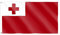 SHATCHI 1,5 x 0,9 m Nationalflaggen Events Pub BBQ Dekorationen für Rugby Cricket Fußball Sport 2023 Weltmeisterschaft Banner Fan Unterstützung Tischabdeckung Polyester Tonga