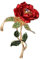 GFM® Brch-PPY-2203 Brosche mit Mohnblumen-Motiv, S, Metall