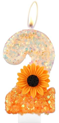 Orange Daisy Birthday Candles, Orange Flower 2nd Birthday Candle, Flower Number 2 Candles for Cake, Girls Boys 2nd Birthday Decorations,Daisy Themed Party for Girls Boys Birthday Party Decorations