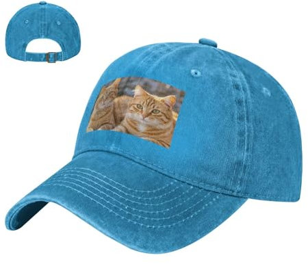 asbwuo Baseballkappe, Golf-Dad-Mütze für Männer und Frauen, verstellbar, Cowboy-Baseballmütze, Orange Cats Dad Cap, Trucker-Mützen