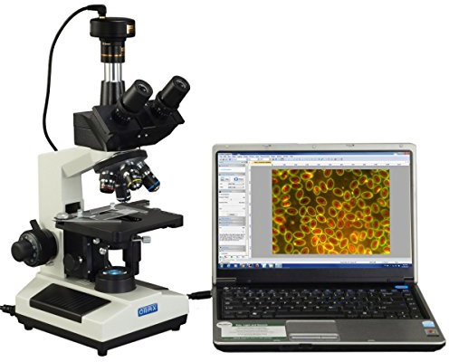 AmScope M837ZL-A191BD-C50U OMAX 40X-2500X 5MP Digital Advanced Oil NA1.25 Dunkelfeld-Trinokular-Compound-LED-Mikroskop mit 5.0MP-Kamera mit Mess-, Stich- und erweiterter Schärfentiefe