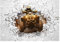 WallArena - Vlies Fototapete Kinderzimmer 152x104 cm Quad Motorrad Jungs Kinder - Fototapeten Tapeten für Kinder Kindertapete Kinderzimmertapete - Vliestapete Wandtapete Tapete 3D Effekt