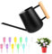 Regadera 1L, Regadera de Interior de Acero Inoxidable, Regadera Pequeña con Boquilla, Larga Regadera de Jardín de Metal, Acero Inoxidable Regadera Bonsai para Plantas Al Aire Libre Jardinería Flores