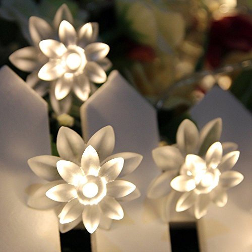 JnDee Blumen LED-Lichterkette, USB, 20 LEDs, Warm-Weiß, doppelte Schicht, funktioniert mit jedem USB-Port an PC, Laptop, Mac, Handy, perfekt für Weihnachten, Hochzeit, 3,5 m