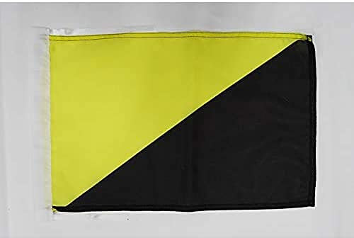BANDERA del ANARCOCAPITALISMO 45x30cm - BANDERINA ANARCOLIBERALISMO - ANARQUISMO LIBERTARIO 30 x 45 cm cordeles - AZ FLAG