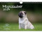 Mopszauber DIN A4 Kalender für 2024 Mops Hunde und Welpen - Seelenzauber