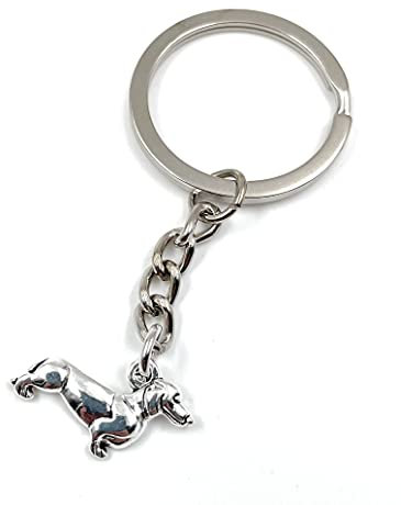 Onwomania Langer Dackel Hund stehend Haustier Schlüsselanhänger Metall Glücksbringer in Alu Geschenkbox, ideal zum Verschenken