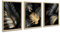 FajerminArt 3 Teilig Leinwandbilder Bilder Abstrakt Schwarzes Gold Baum Blätter bild auf leinwand Wandkunst Modern Wandbilder Kunstdruck Deko für Wohnzimmer Schlafzimmer fertig zum Aufhängen 30x40x3