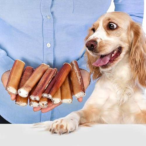 Rinderpizzle für Hunde 12 cm Größe L 10 Stück (400g) | natürliche, geruchsfreie Kausnacks | langanhaltend & getreidefrei | 100% Rind | für mittelgroße Hunde