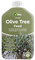 Vitax Olive Tree Liquid Feed 1L – Fast-Acting Plant Food with Extended Nitrogen Release – Promotes Healthy Growth, Lush Foliage & Better Fruiting – Ideal for Pots, Containers & Garden Borders
