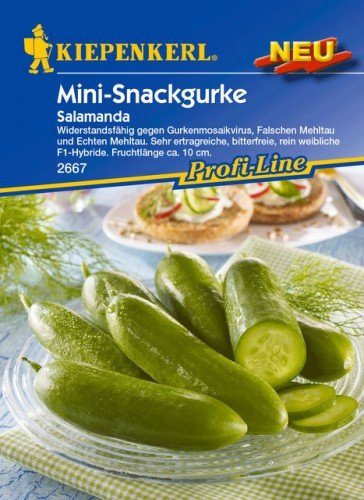 Mini-Snackgurke Salamanda