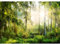 Runa Art Papier peint intissé 396 x 280 cm soleil forêt | Toison Décoration Murale Salon Chambre á Coucherr | Fabrication Allemande | Vert jaunâtre 9176012a