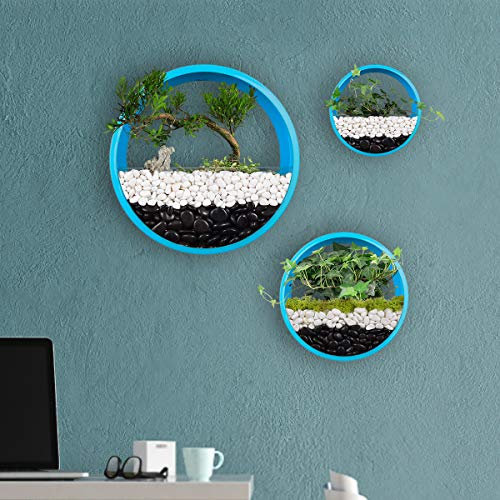 Ecosides Juego de 3 Macetero Pared Vidrio Metal Redondo,Flor Maceta de Pared, Florero de Pared,Terrario de Pared,Suculento Contenedor Vertical Decor para Sala de Estar,Cocina,Balcón,Escalera,Azul