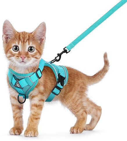 Katzengeschirre mit Leine Verstellbares Geschirr für Katzen Atmungsaktiv Ausbruchsicher Brustgeschirr für Kitten, Hunde Welpen Zug Gehen (S)