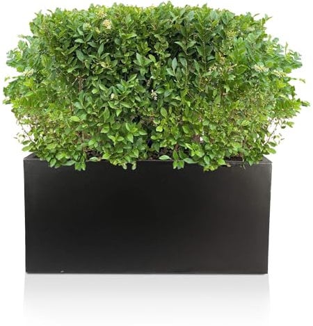 IDEALIST 65cm Large Trough | Black Reinforced Stone Rectangle Plant Pot | Garden Planters with Drainage Holes L65 W19 H30 cm, 21 litres