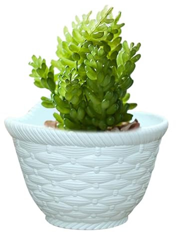 Jardinière avec balustrade - Pots suspendus, Jardinière murale | Pots de clôture de balcon en plein air pour fleurs succulentes, design de jardinières suspendues faciles à accrocher