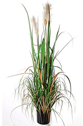 Künstliches Pampasgras blühend ca. 120cm hoch - Ziergras Pampas Kunstgras mit Blüte