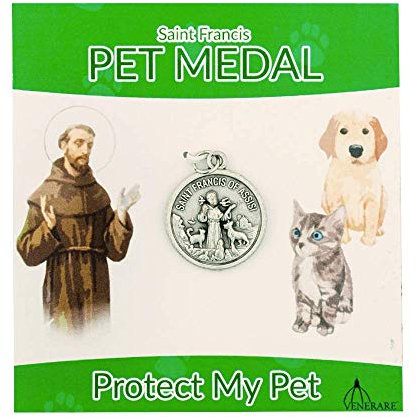 St. Francis Pet Medaille für Haustiere, groß, rund, tolles Geschenk für Tierliebhaber, mit Karte in verschiedenen Farben Green Card