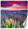 Feeby Papier Peint Intisse Fleurs Prairie Nuages 250x250 cm violet Moderne Panoramique XXL Photo Mural Muraux Chambre Bureau Salle Nature Ciel Coucher De Soleil