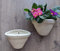 2 Stück Wandamphoren Blumentopf echt Terrakotta ca. 23 cm, Blumenkübel für Garten und Wohnung Terracotta Liegeamphore ........... kein Kunststoff, Blumen