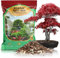 GOTVUGE Professionelle Bonsaierde mit verbesserter Luftdurchlässigkeit und Drainage – Hochwertige Pflanzerde für Bonsai | 10 L Premium Bonsai Substratmischung