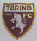 Centro Ricami Aufnäher in der Mitte mit Stickerei, Mikrogarn aus HD/Jacquard (hohe Definition), Wappen Turin, zum Aufbügeln, Maße: H 7 x L 7 cm, hergestellt in Italien.
