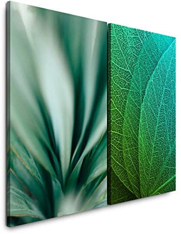 Paul Sinus Art Leinwandbilder 2 Stück je 40x60cm Makro Agave Blatt Struktur