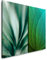 Paul Sinus Art Leinwandbilder 2 Stück je 40x60cm Makro Agave Blatt Struktur