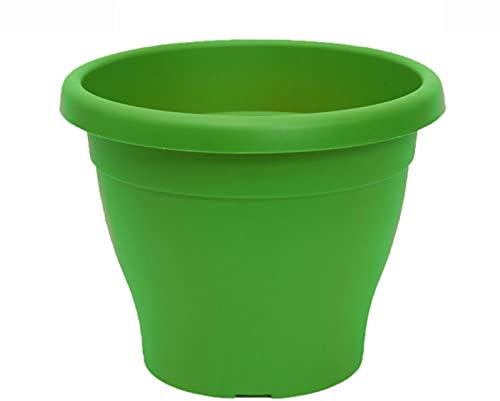Acan Pamex - Maceta de plástico mediterránea, Color Verde, diámetro 25 cm, macetero para jardín Exterior, terraza, balcón e Interior del hogar