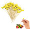 100 Piezas Palos de Cóctel, Palillos de Dientes Cóctel, Palillos de Cóctel de Madera, para Cócteles, Pasteles Barbacoas, Fiesta y Boda Decoración (Amarillo)