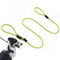 Lihtaiyi Multifunctional Figure 8 Padded Head Halter Walking Training Leather Stopper Slip Lead Dog Rope Leash (Fluorescent Yellow)