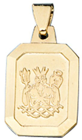 Sternzeichen Wassermann - Anhänger aus 333 Gold Gelbgold Halsschmuck Unisex